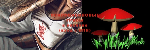 гашик Балабаново