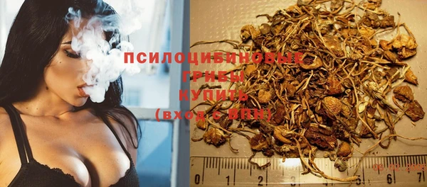 гашик Балабаново